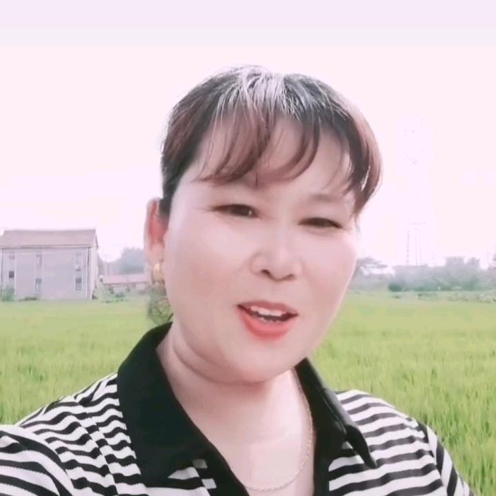 争争依依