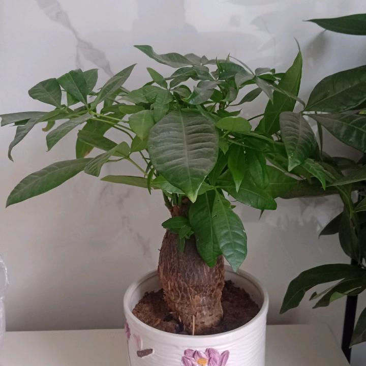 @南 C💖蒙 L人生有缘