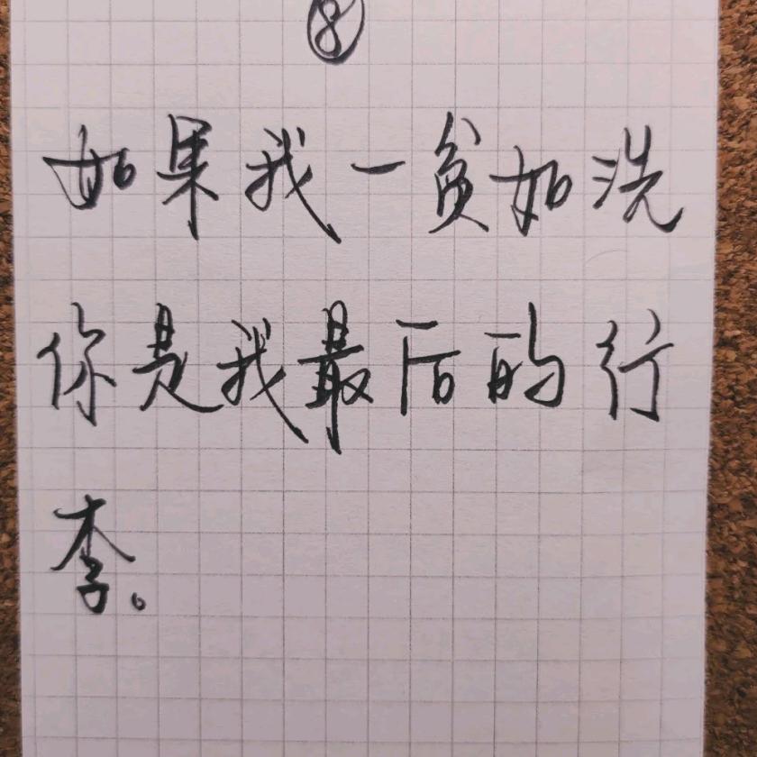 阳光灿烂鱼佬