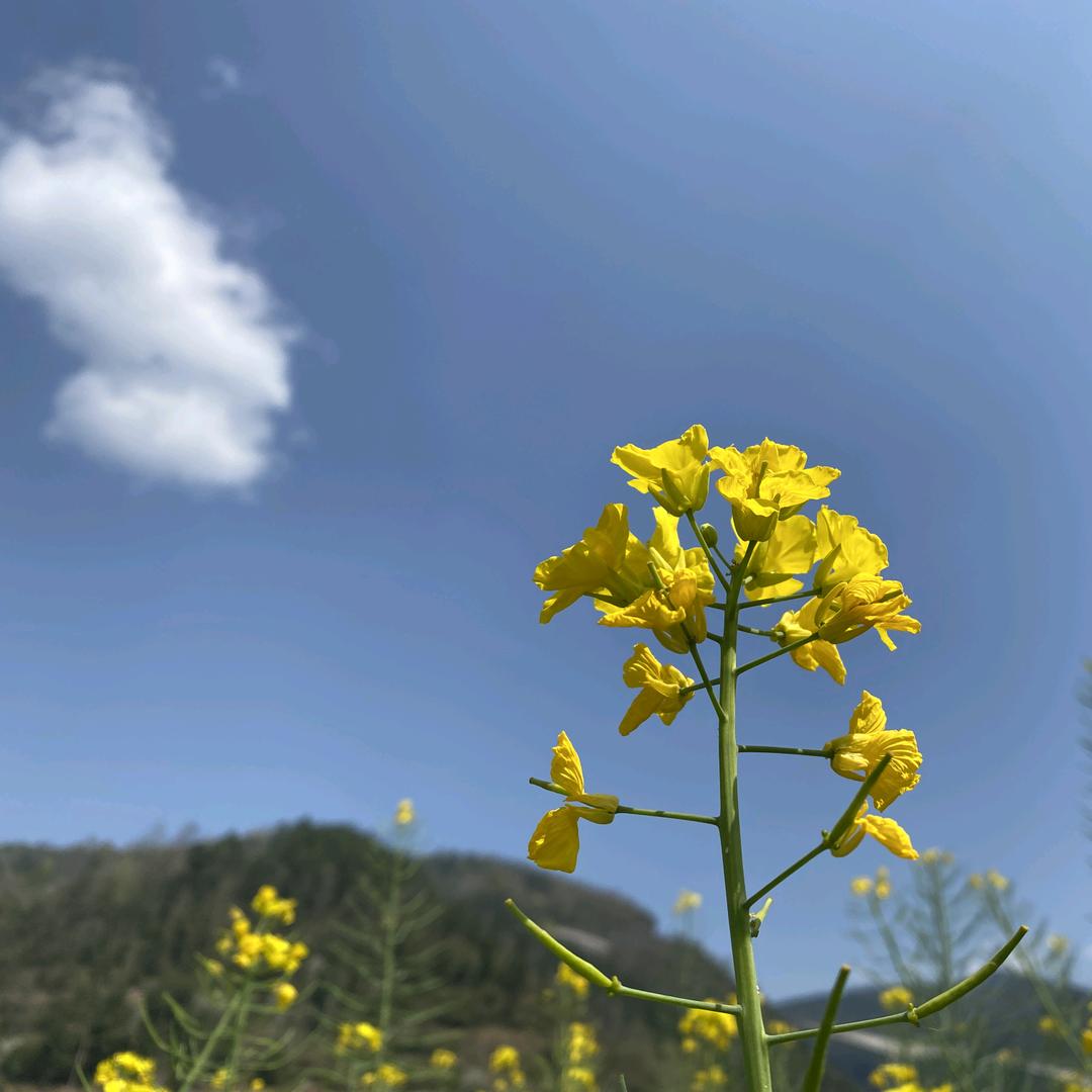 心中的累要自己才明白