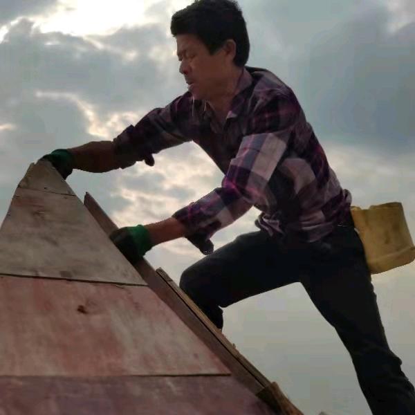 青村献给爱丽丝梦游仙境