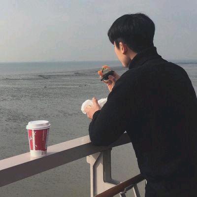 @踏雾