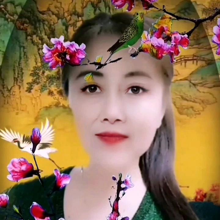 姚金兰