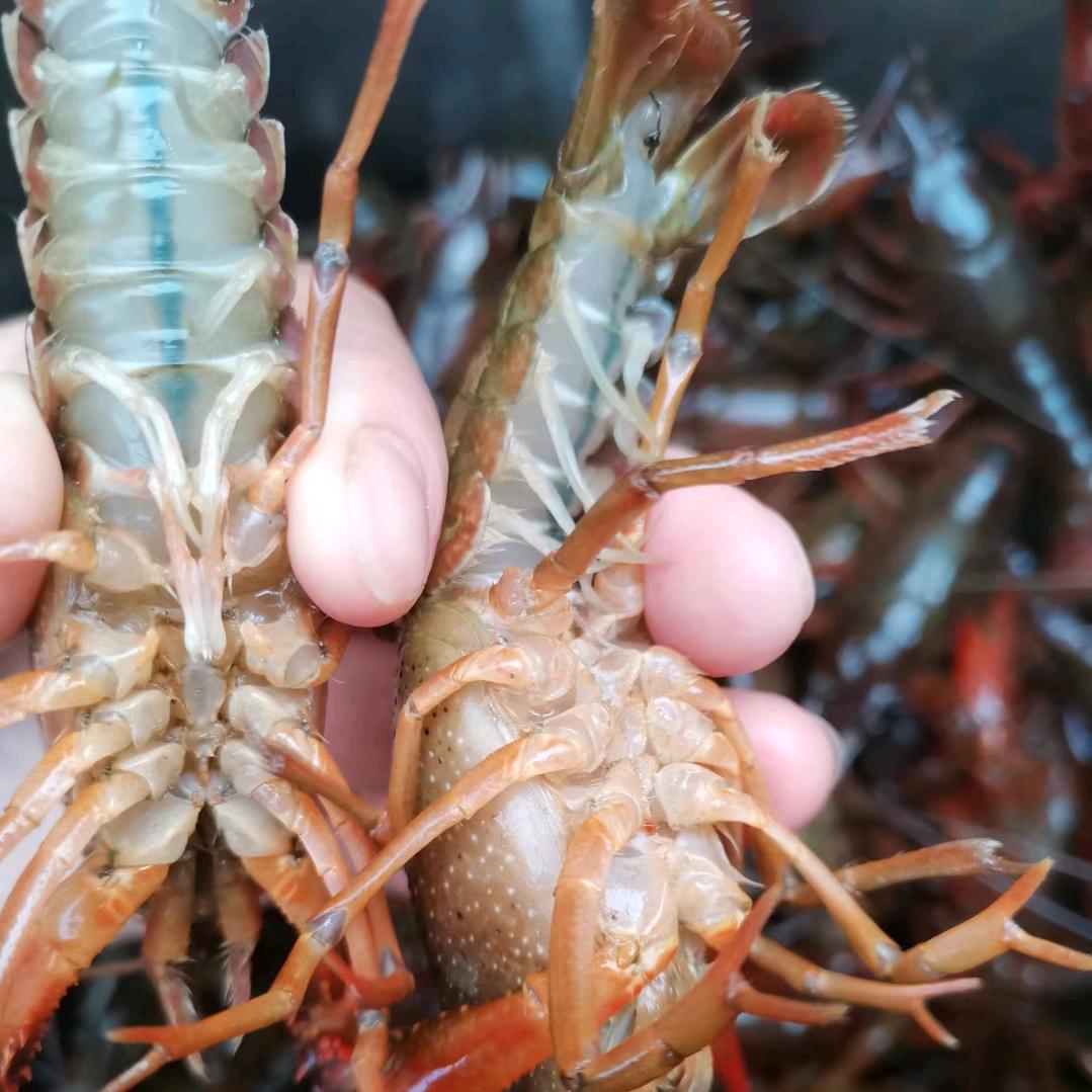 珍惜该珍惜的人