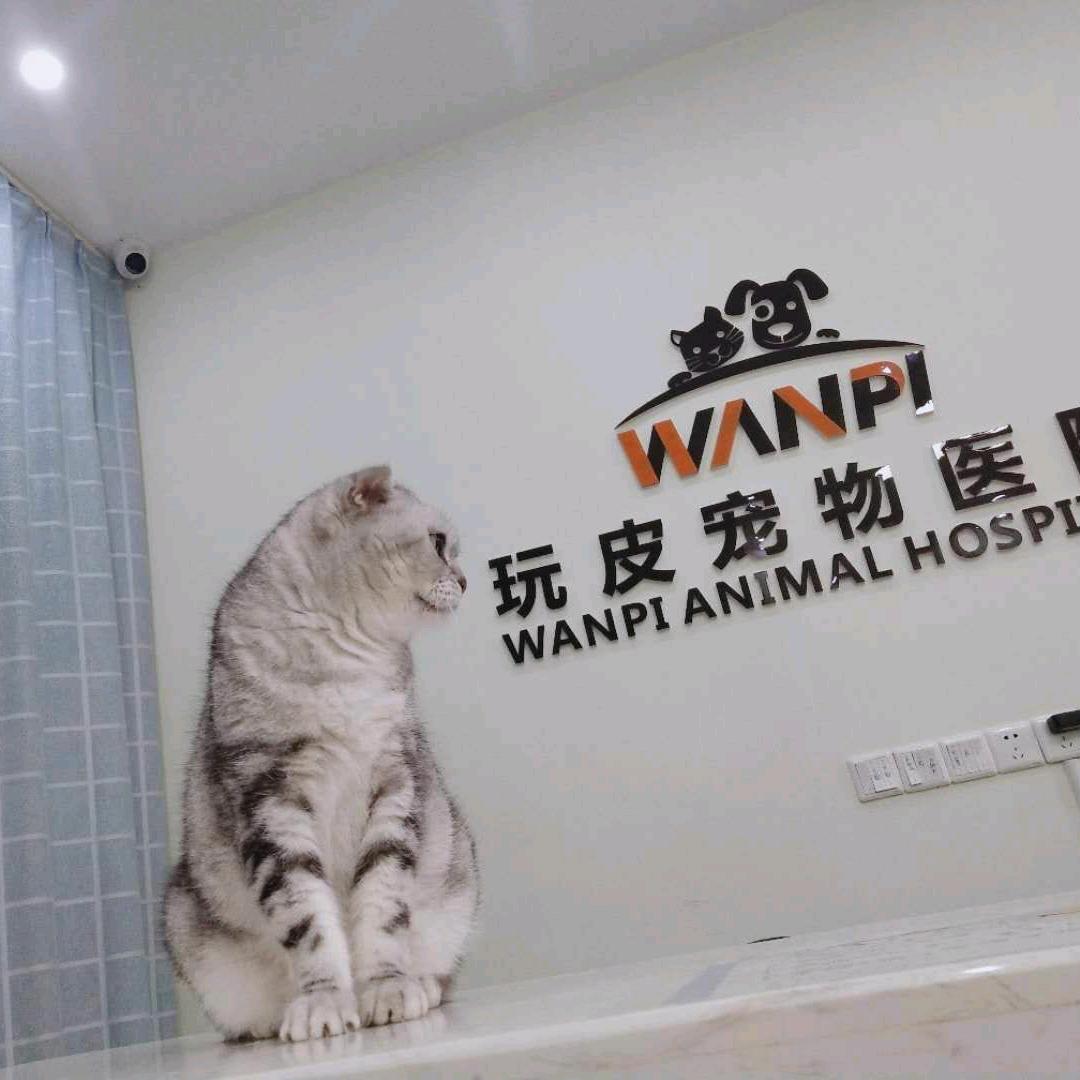 南宁市玩皮宠物医院