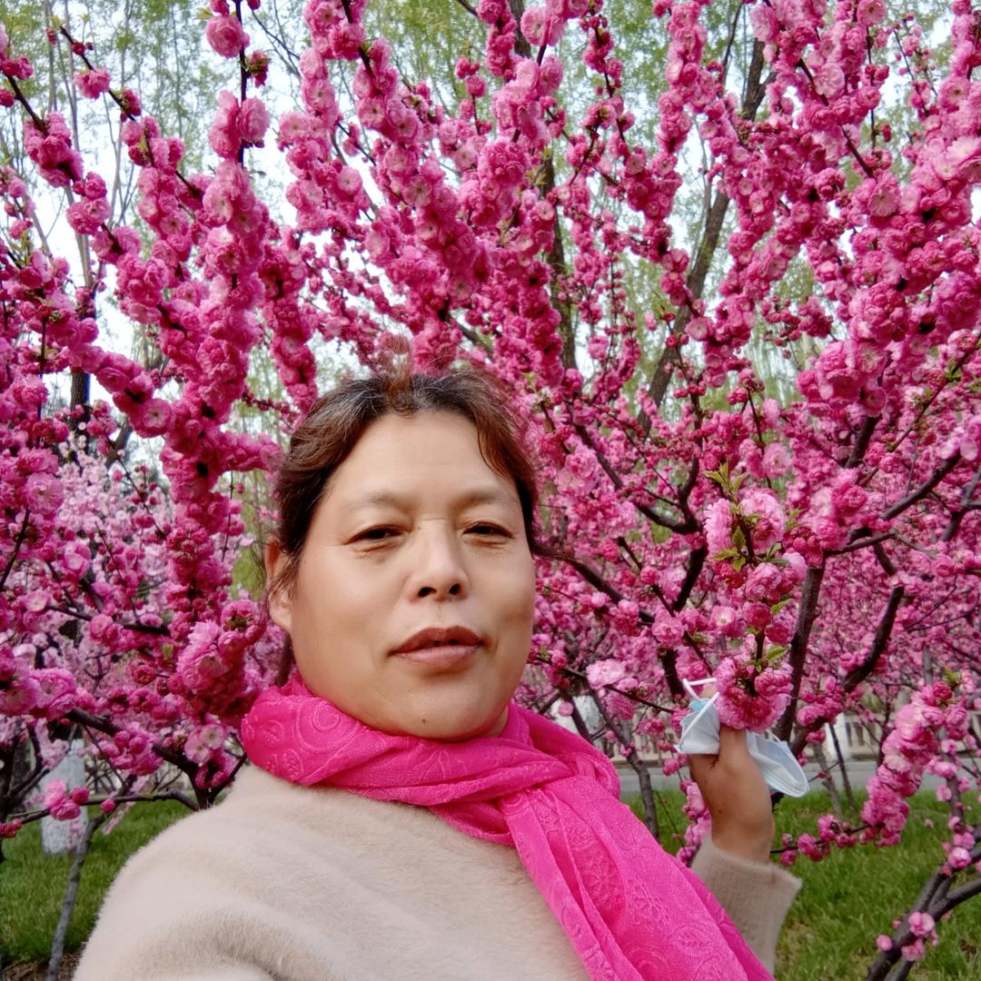 凤云鑫