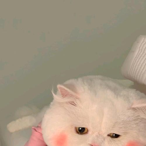 漫漫人生路**头像