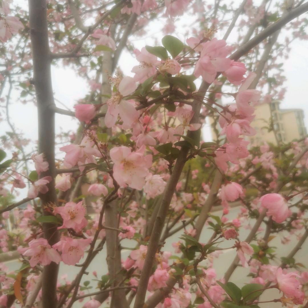 🥀⃟逍ꦽ姚᭨自在꧀ᩚ࿐
