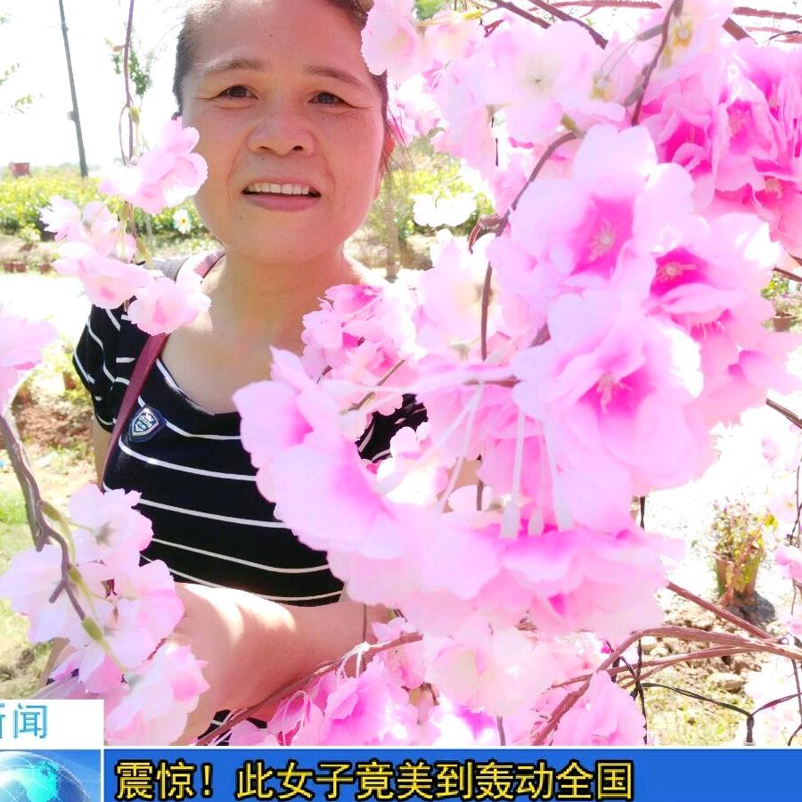 雄鹰