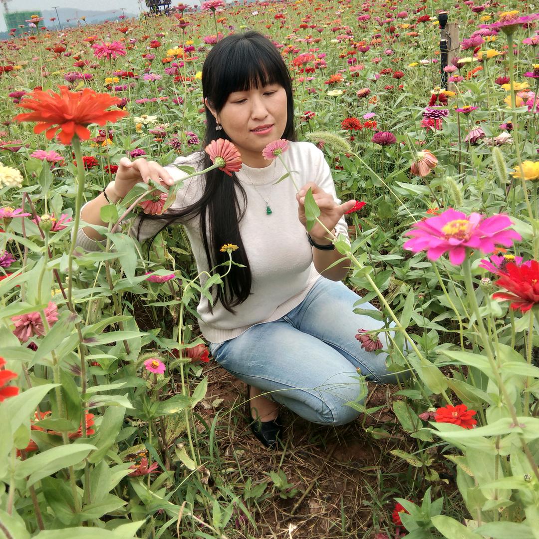 粉红玫瑰