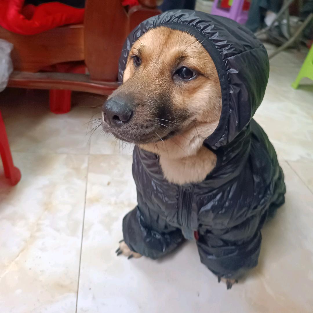 🌈🌈珊珊好运来+618兔姐家🌈🌈