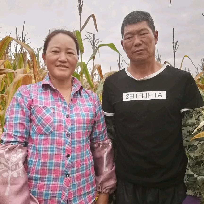 放牛小哥