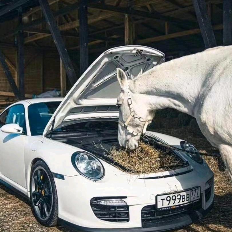 新疆老湿傅品车