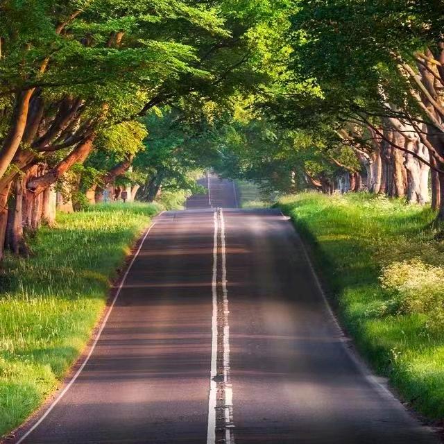 时间的味道