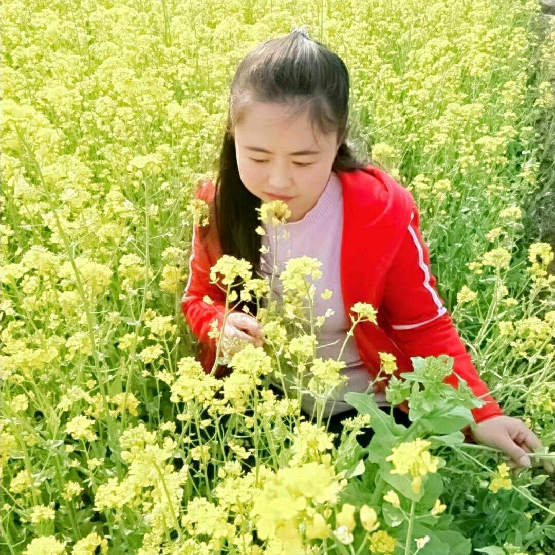 夏树繁花