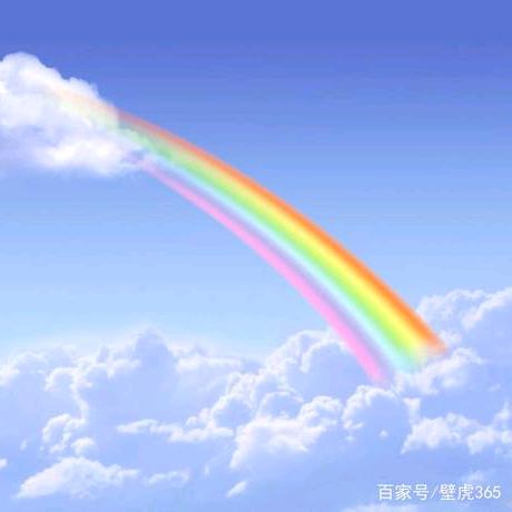 经历风雨见彩虹
