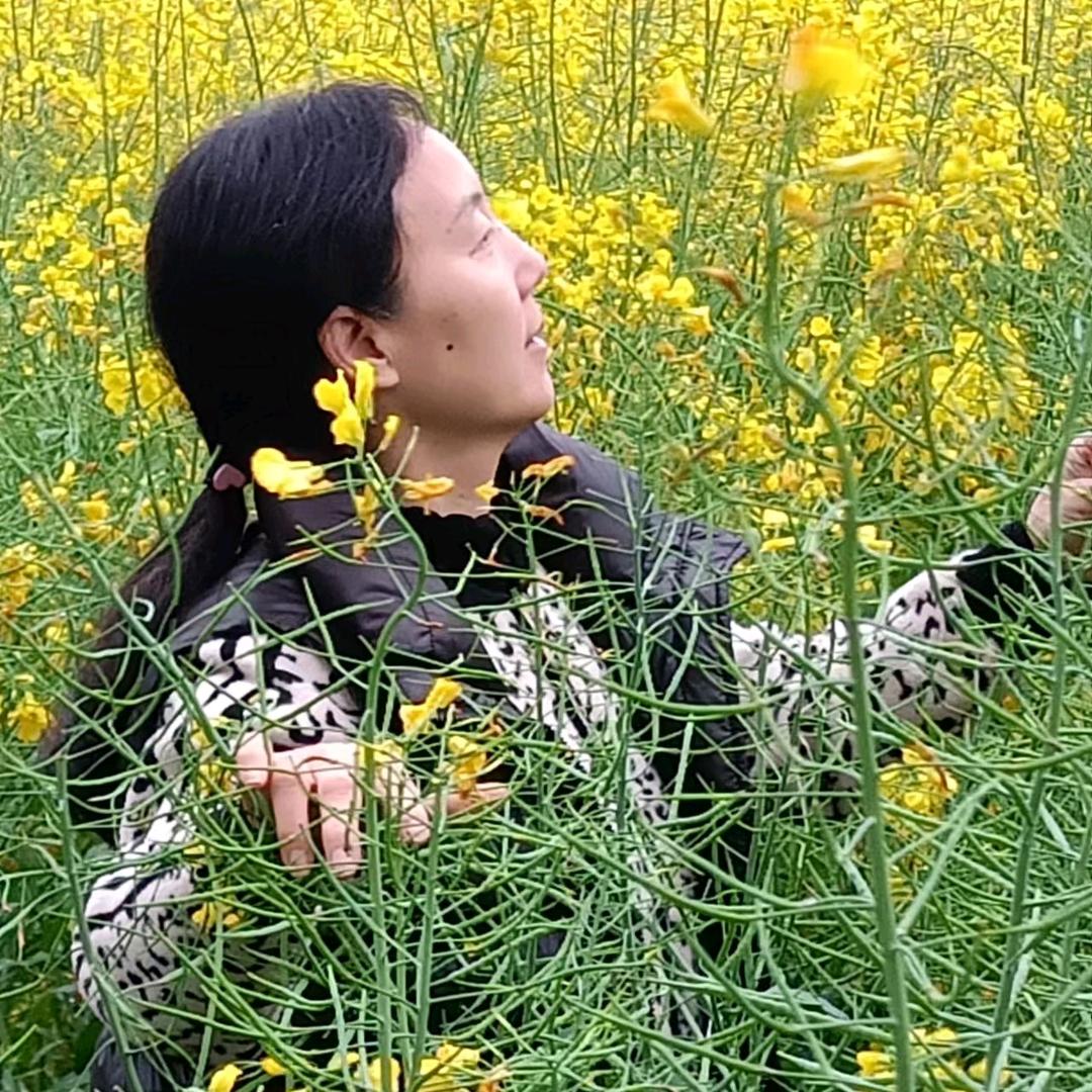 骑龙帮的沈振德头像
