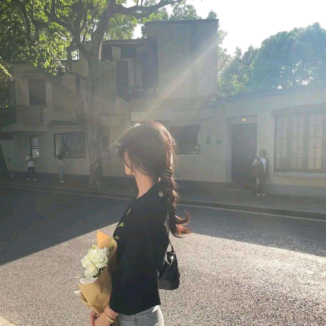 树同学历史人文社