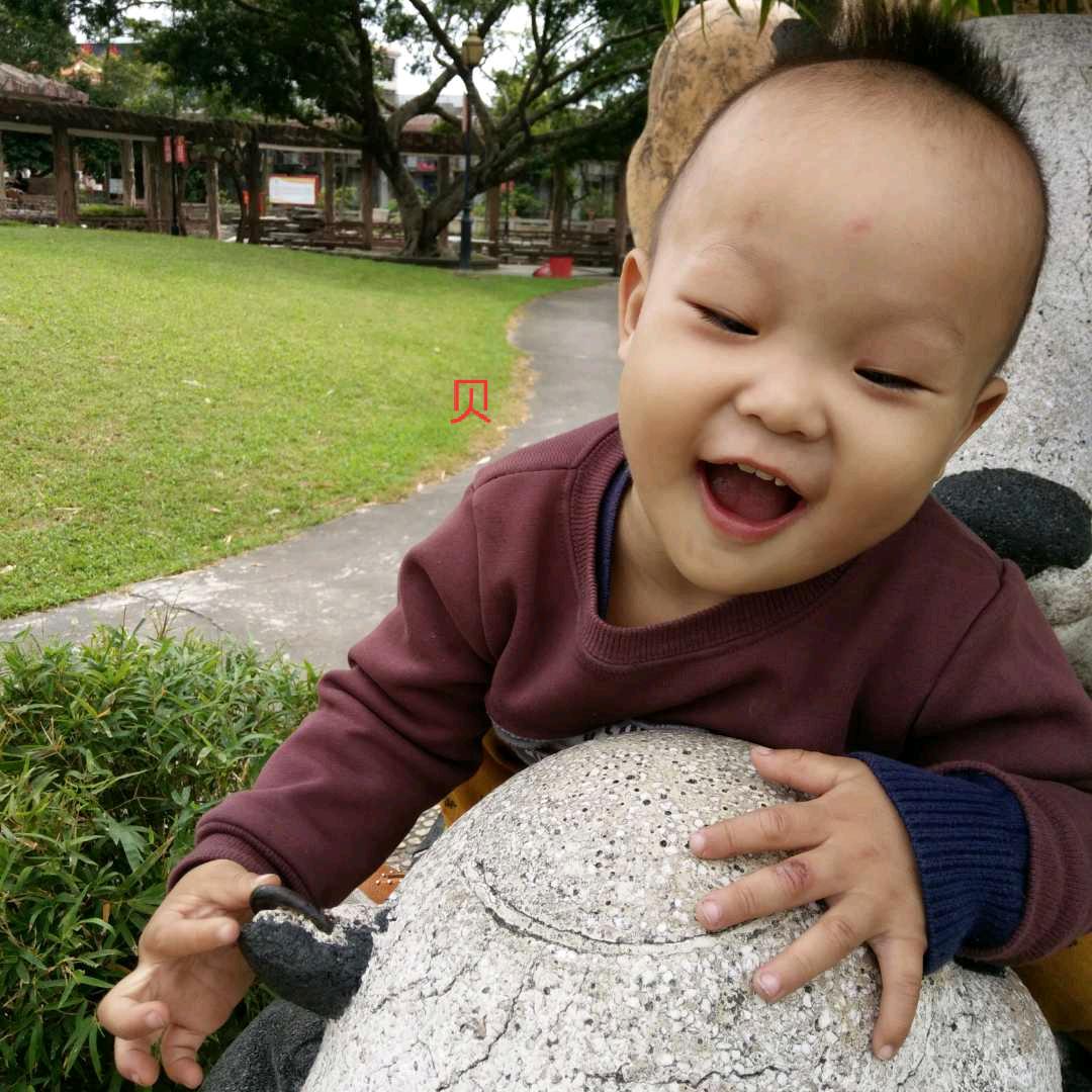 龙生