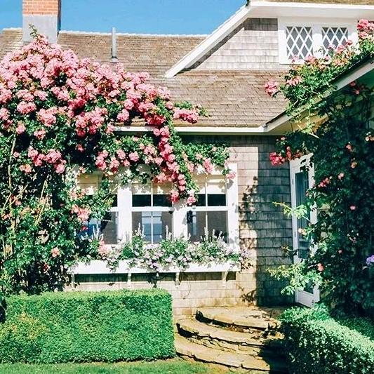 (づ ●─● )づ蓝