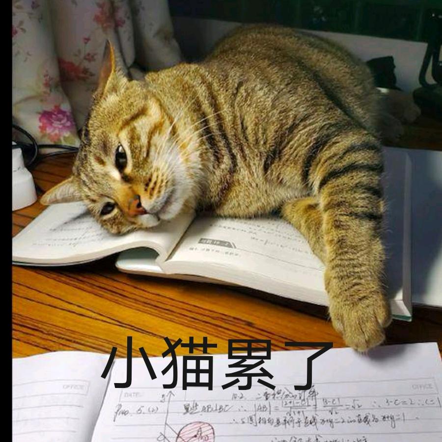 。。。