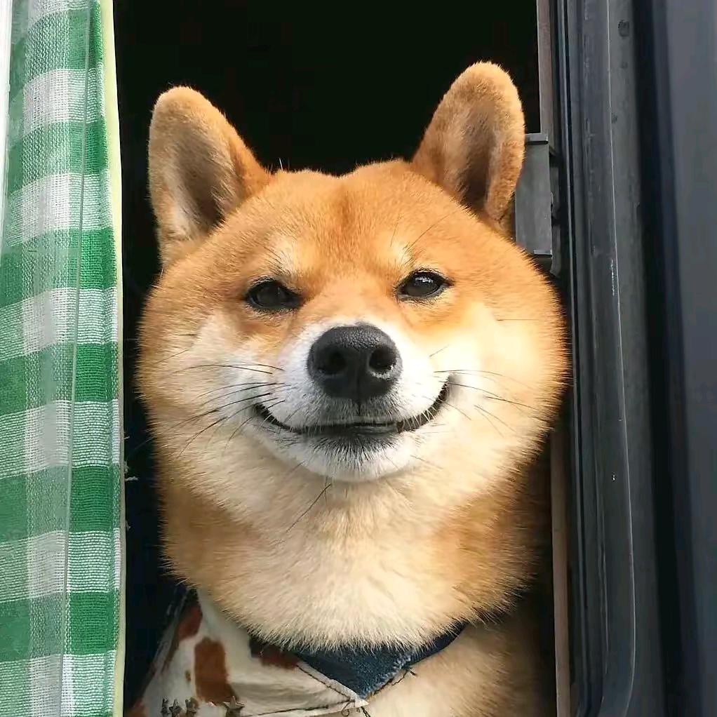 焱少