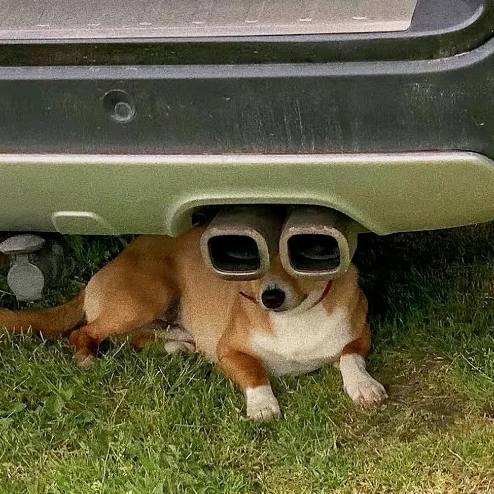 HY、