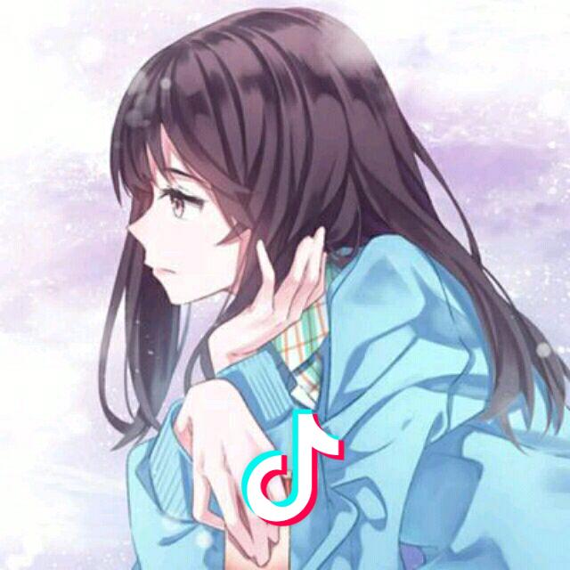 风丶小羚