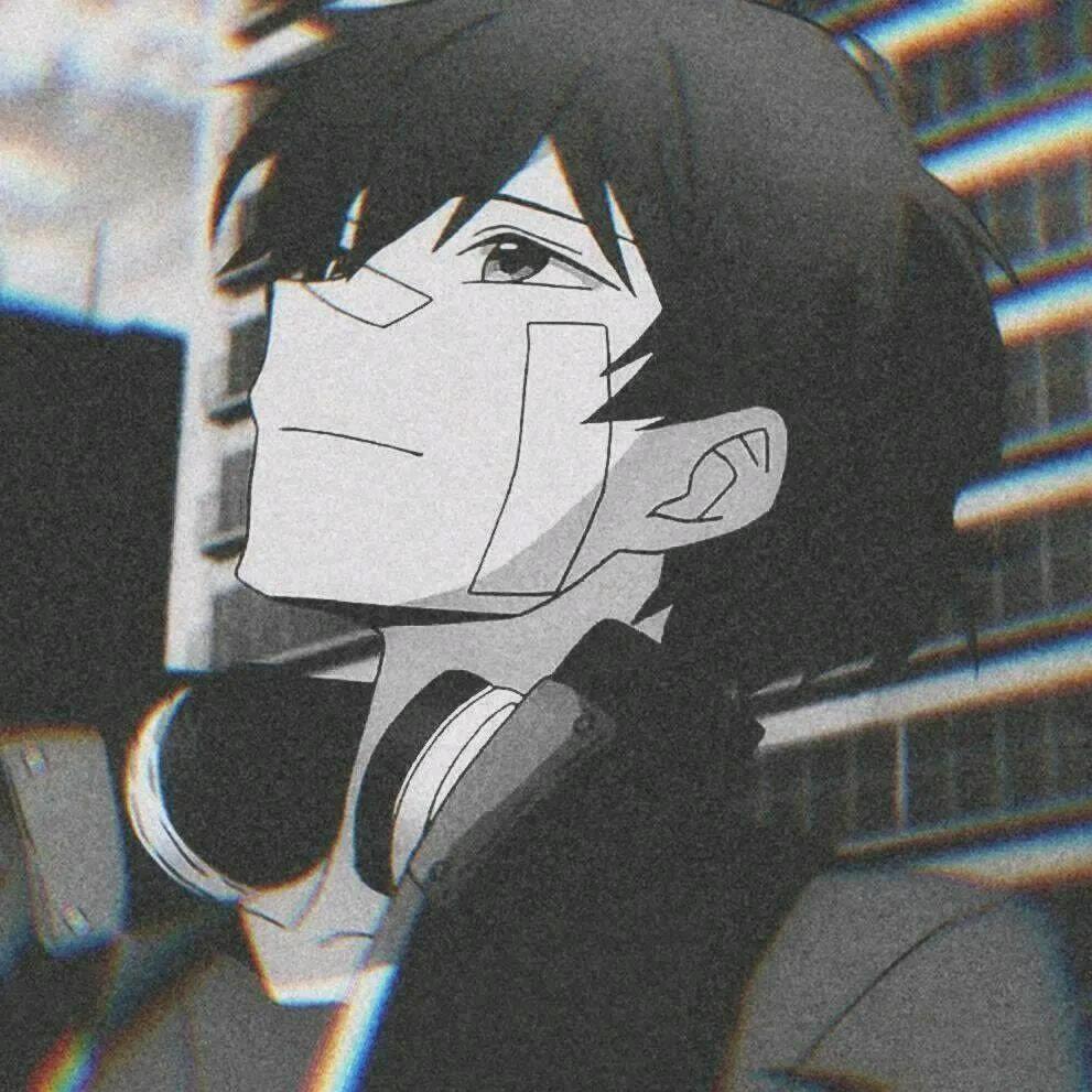 知鱼.