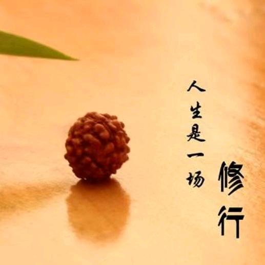 仙女执法堂张爽