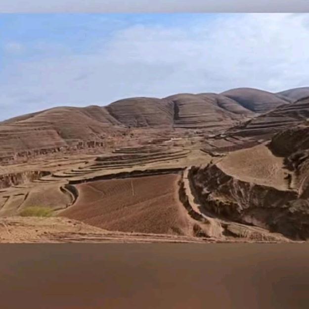 韶华倾世不负君