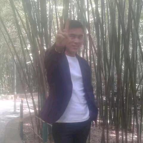 未来可期只需努力