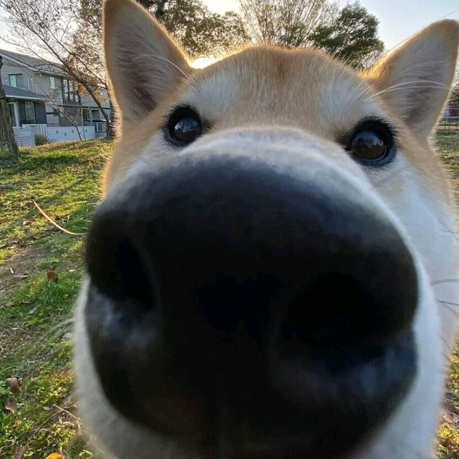 盒