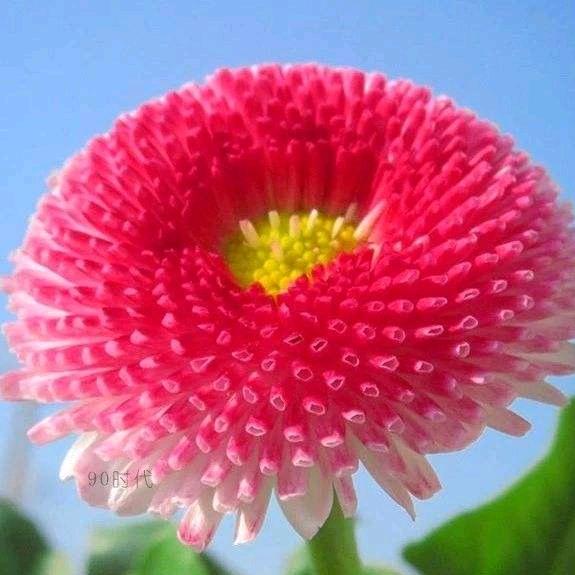 这世界，我来了