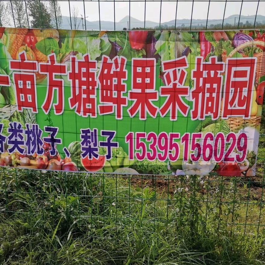 刘家果园