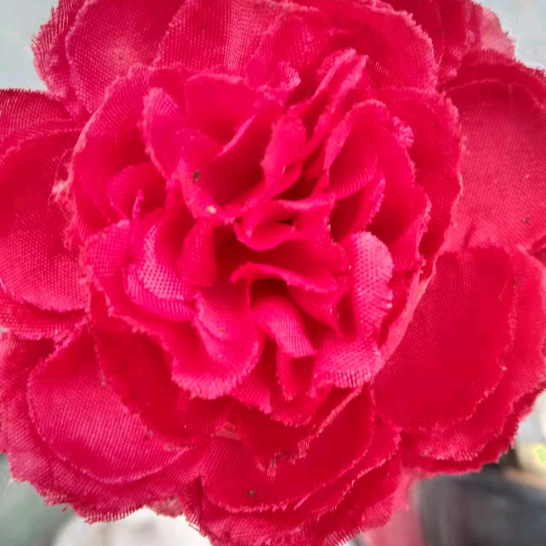 余胜美