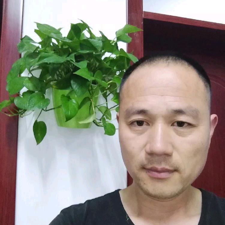 夜行八百