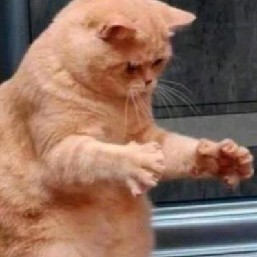 ，，。。