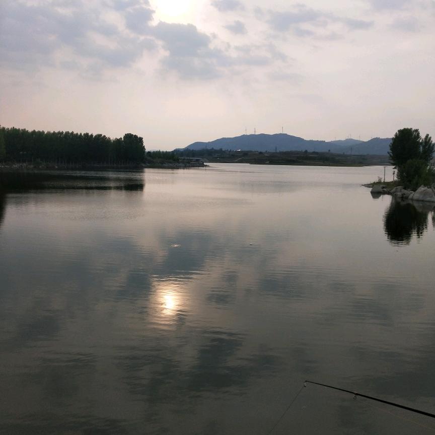 张张(涨)