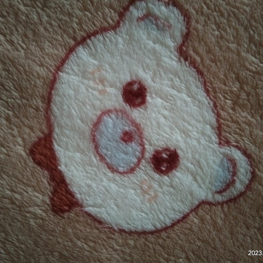 一只小虾米