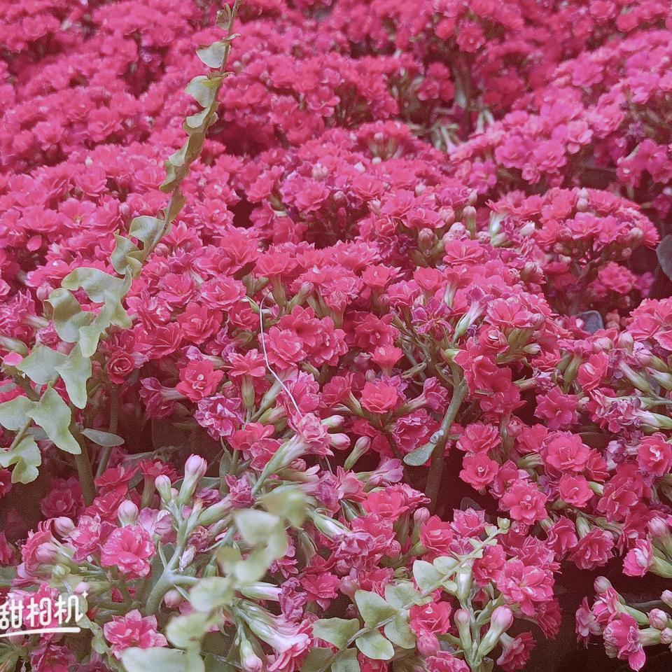 蓝色天空❤️❤️❤️