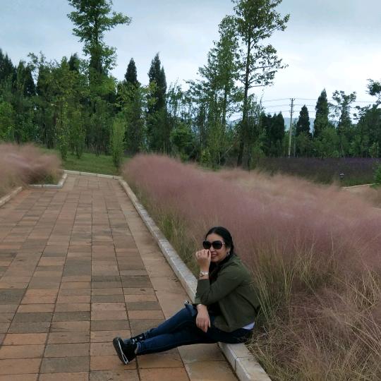 楚楚吊顶陶彩花