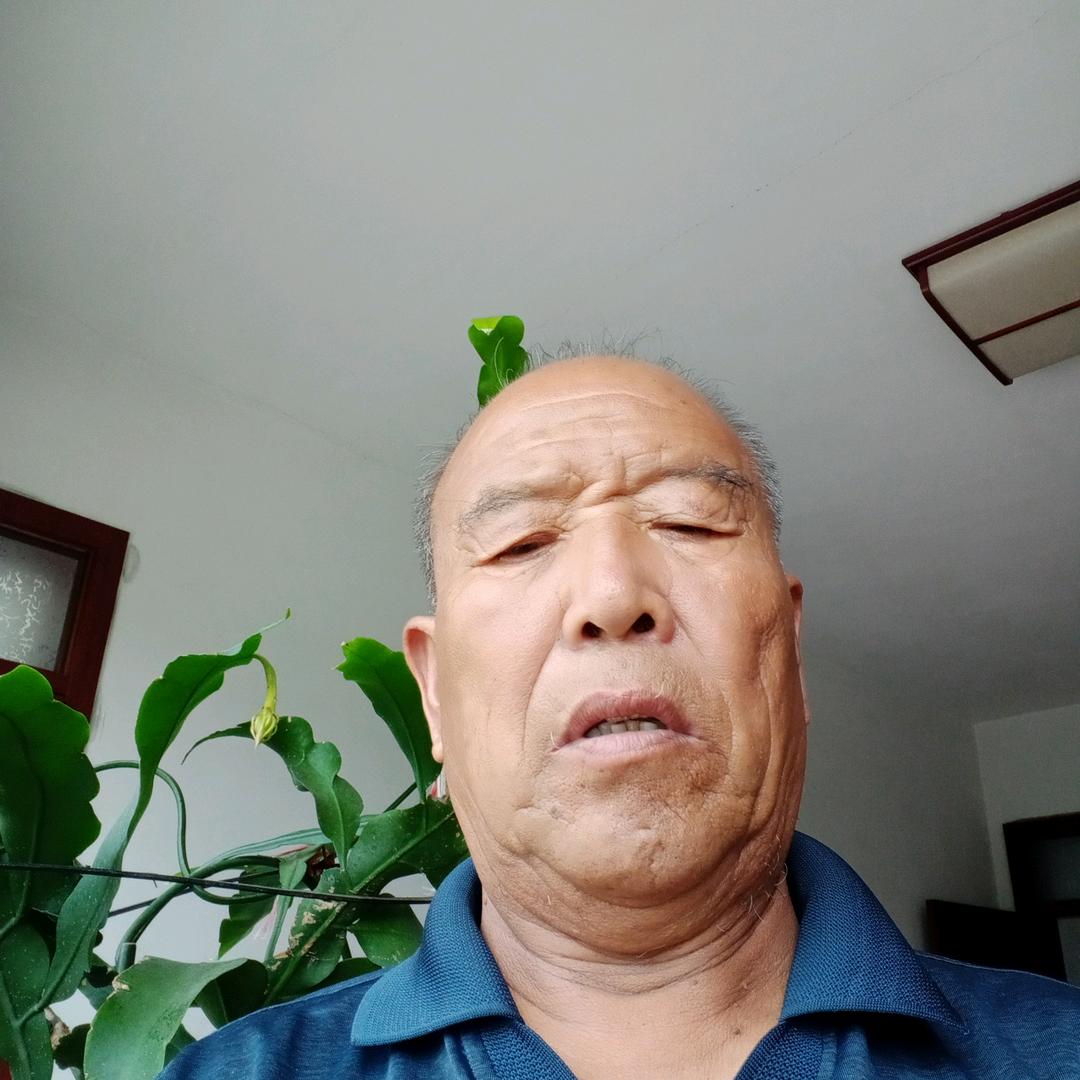 隋守俭