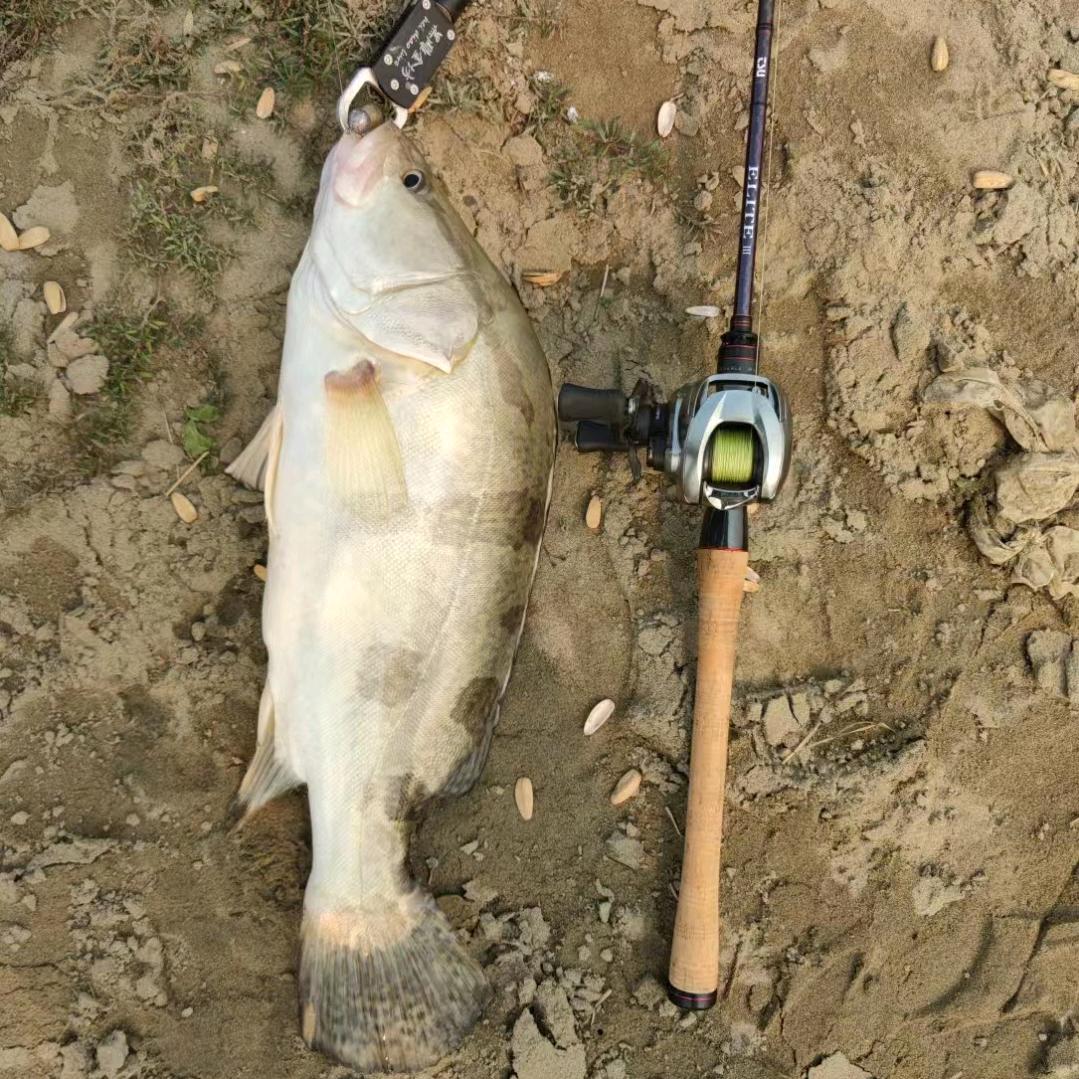Lure Fishing🎣