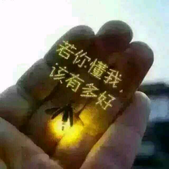 STS永远的忆忆