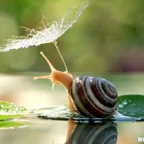 快乐生活everyday剧场