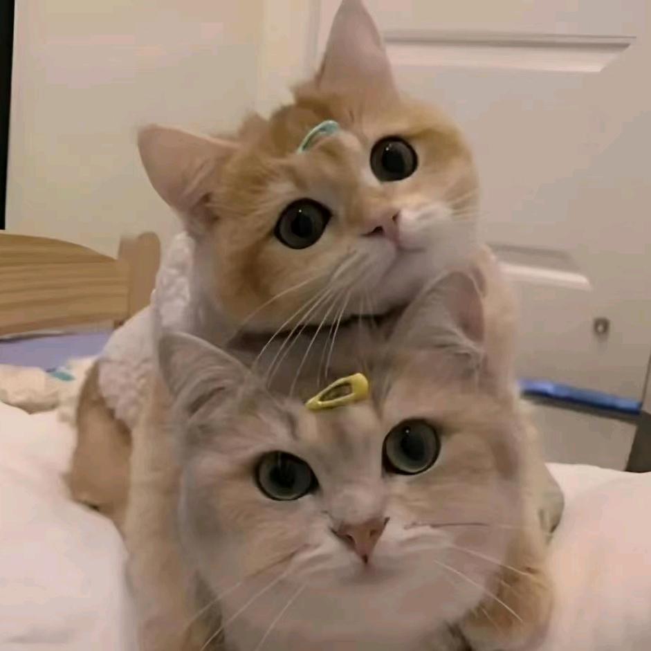 唯吾得鑫
