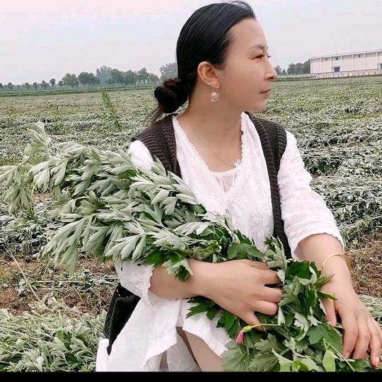 素心儿