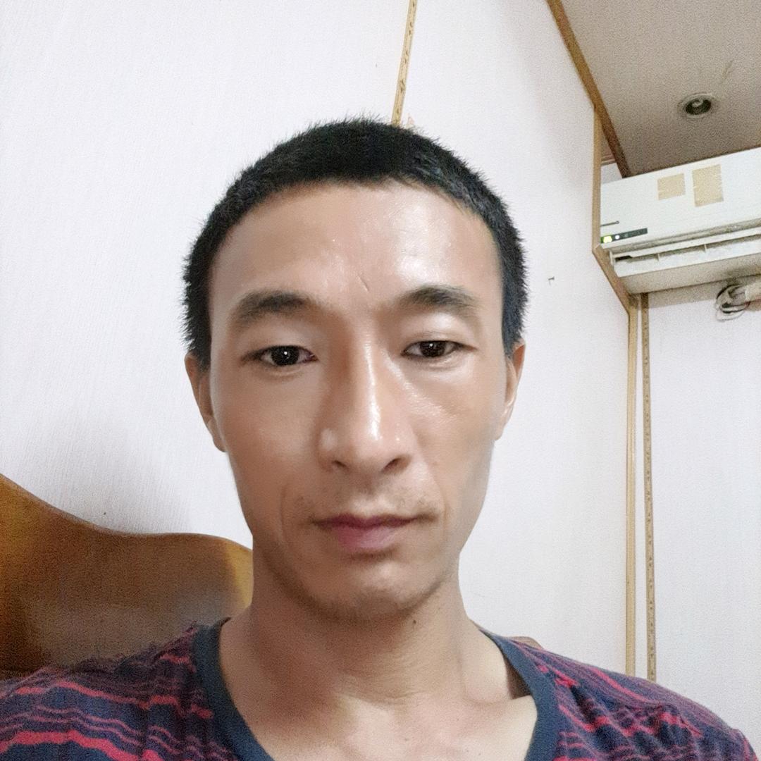小蜜蜂 …