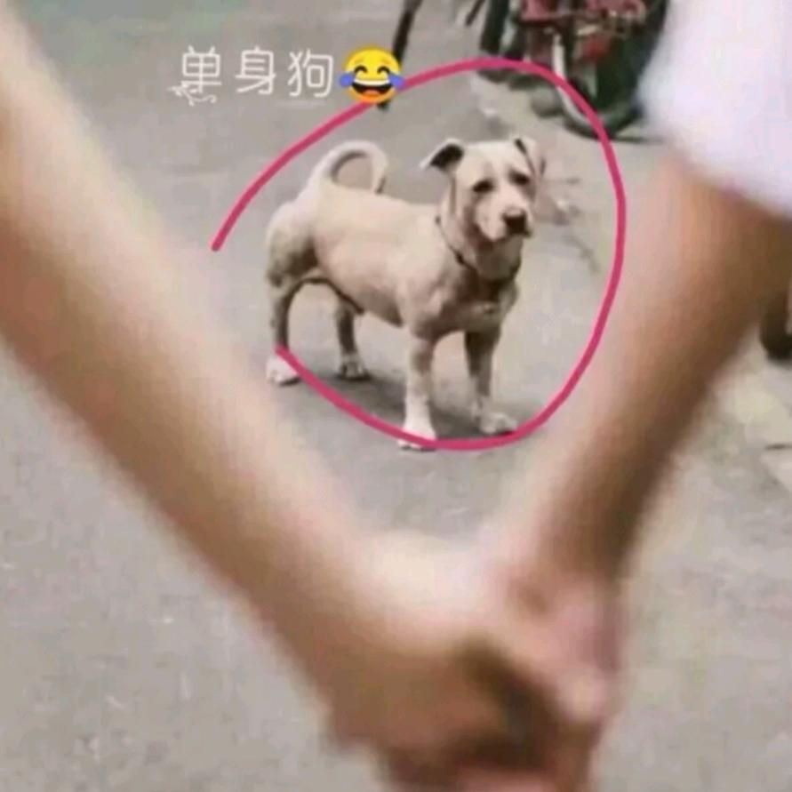 睡觉的时候不困